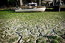 美國遭受56年來最嚴重干旱 農(nóng)牧業(yè)受挫