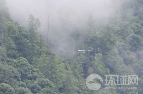 ӡ߅ӡ܊վ[ԭʼɭ