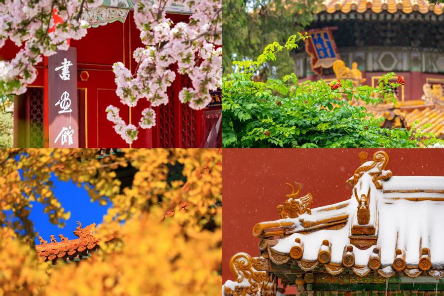 百歲快樂！一組圖領(lǐng)略故宮四季流轉(zhuǎn)之美