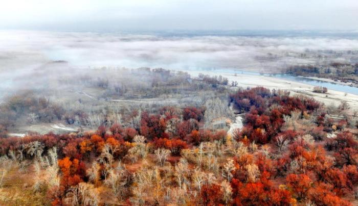 額爾齊斯河新疆北屯段現(xiàn)壯美晨霧景觀