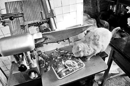 иõƬϵİɫ؈fƬؓ؟(z)иƬŮӴ󲿷֕rҕҊ MDƬ ӛ  z