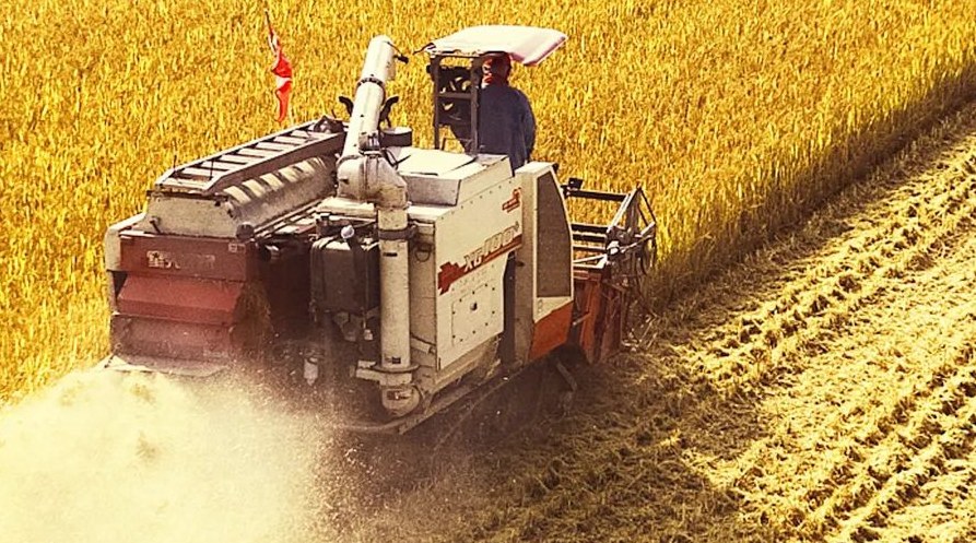 “察實(shí)情、辦實(shí)事、求實(shí)效”，這十句話，振奮人心！