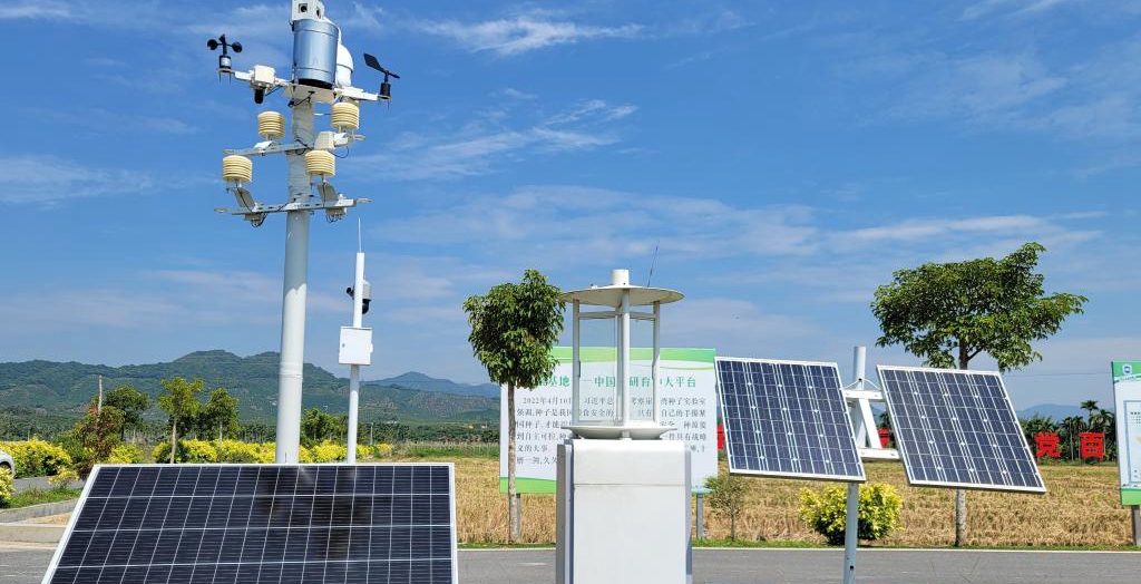 探訪在種業(yè)科研和創(chuàng)業(yè)熱土中成長的三亞“南繁硅谷”<p>晚秋的三亞，午間陽光依然炙熱。在崖州區(qū)壩頭南繁基地，由太陽能電池板提供能源，生態(tài)監(jiān)測系統(tǒng)、物聯(lián)網(wǎng)蟲情信息采集系統(tǒng)不間斷工作。<p>